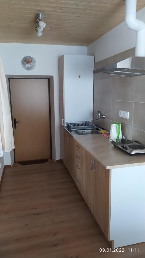 Apartman Pod Zalym Apartman Benecko Kültér fotó